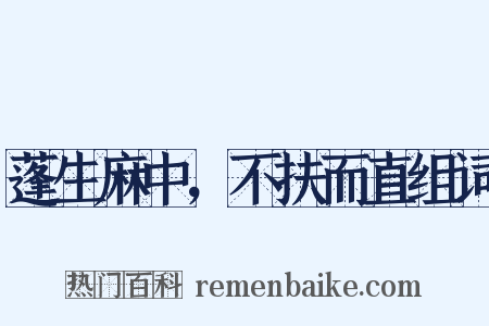 蓬生麻中，不扶而直组词是什么意思的图片